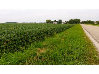 Property photo 25 - IMPORTANT OHIO LAND AUCTION - 325.5+/- ACRES OFFERED IN 8 TRACTS IN PICKAWAY COUNTY, OHIO